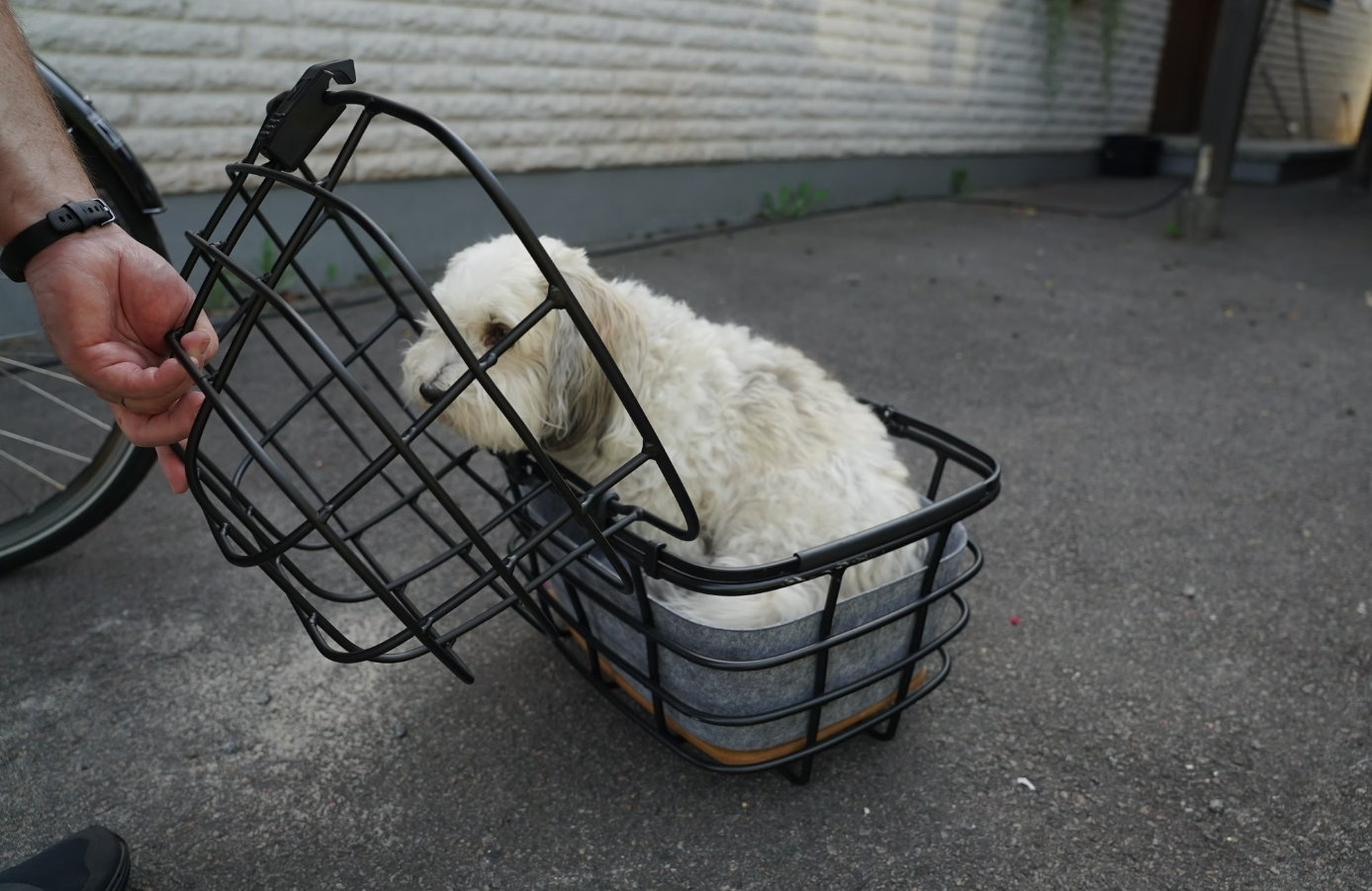 ATRAN VELO Duo Basket Cover