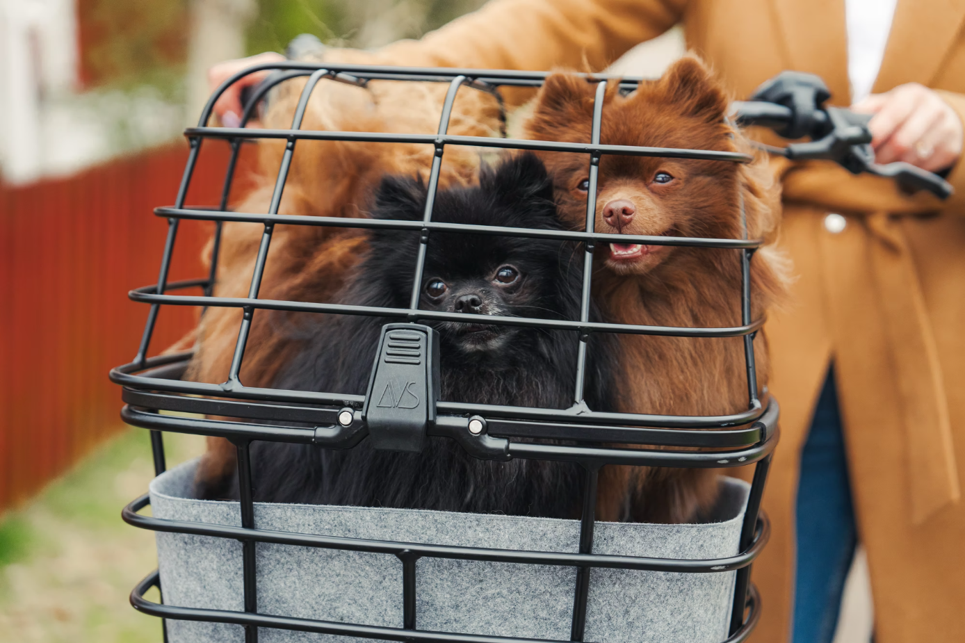 ATRAN VELO Duo Basket Cover