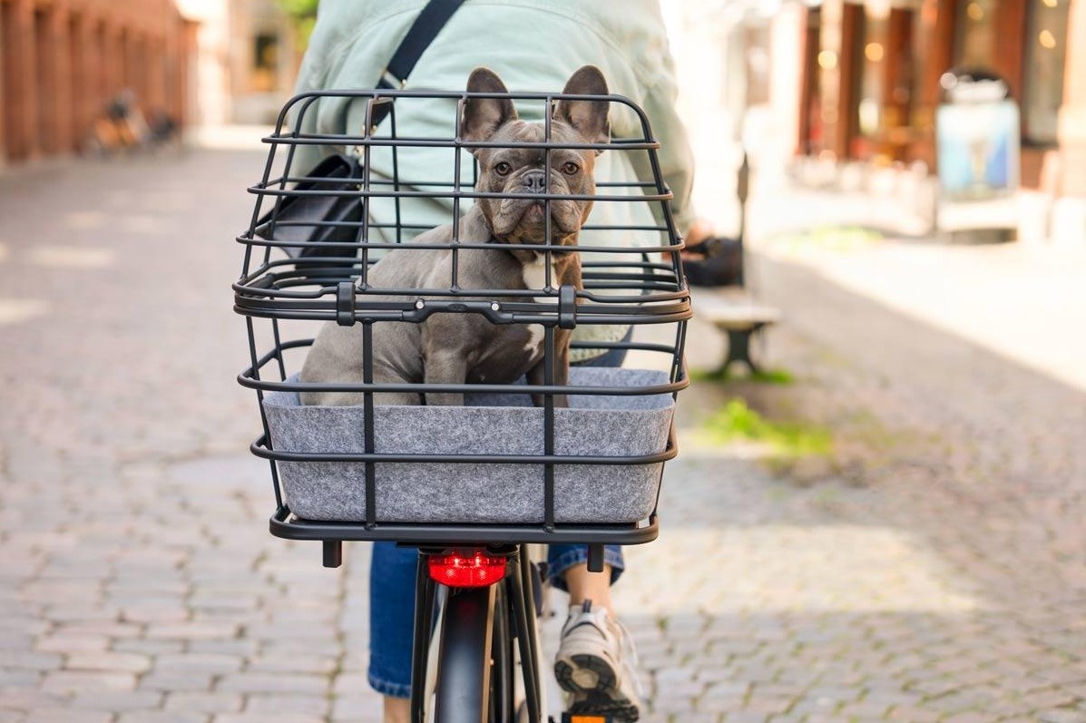 ATRAN VELO Duo Basket Cover