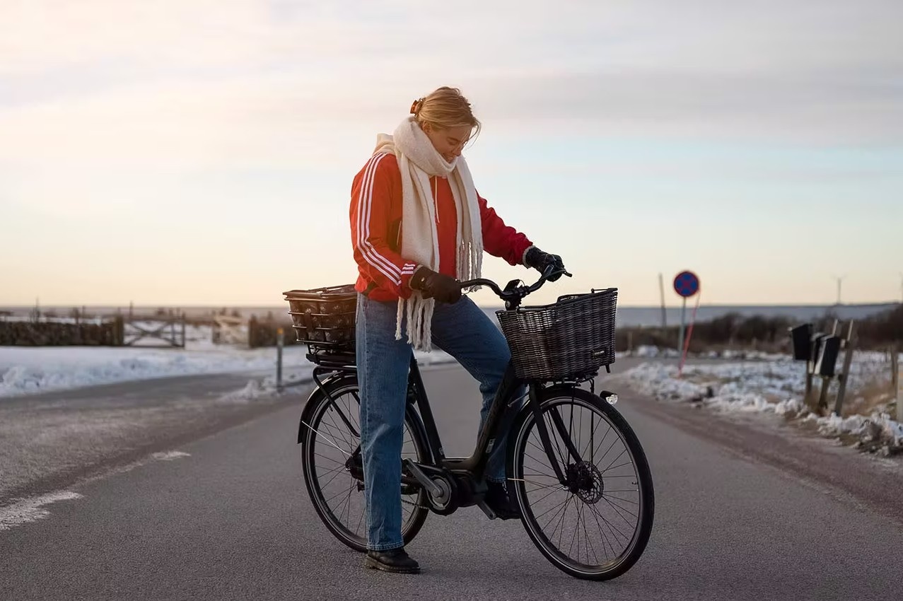 ATRAN VELO Picnic Basket