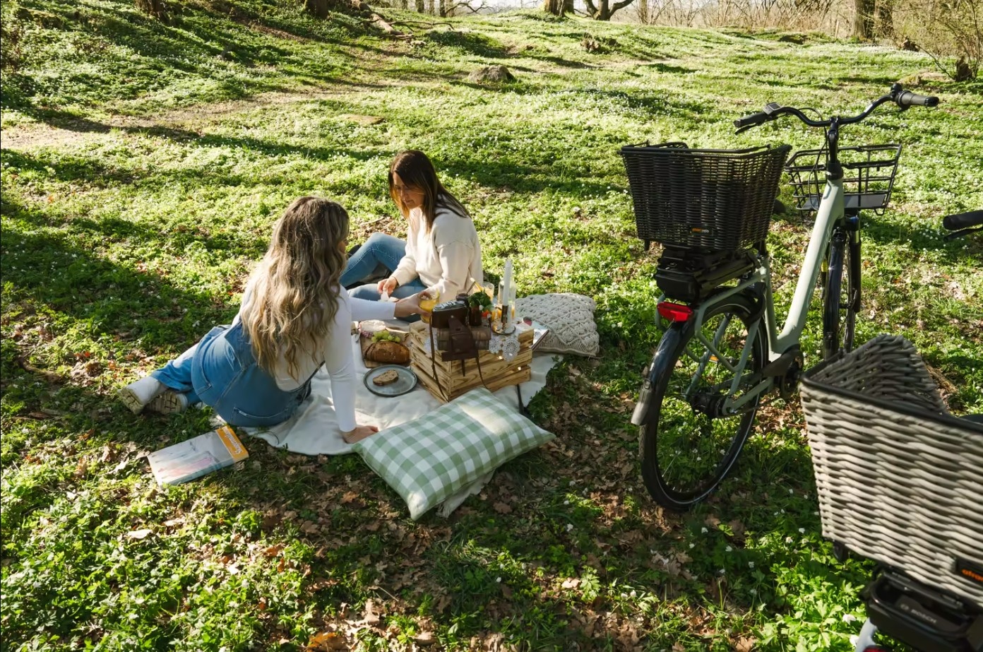 ATRAN VELO Picnic Basket