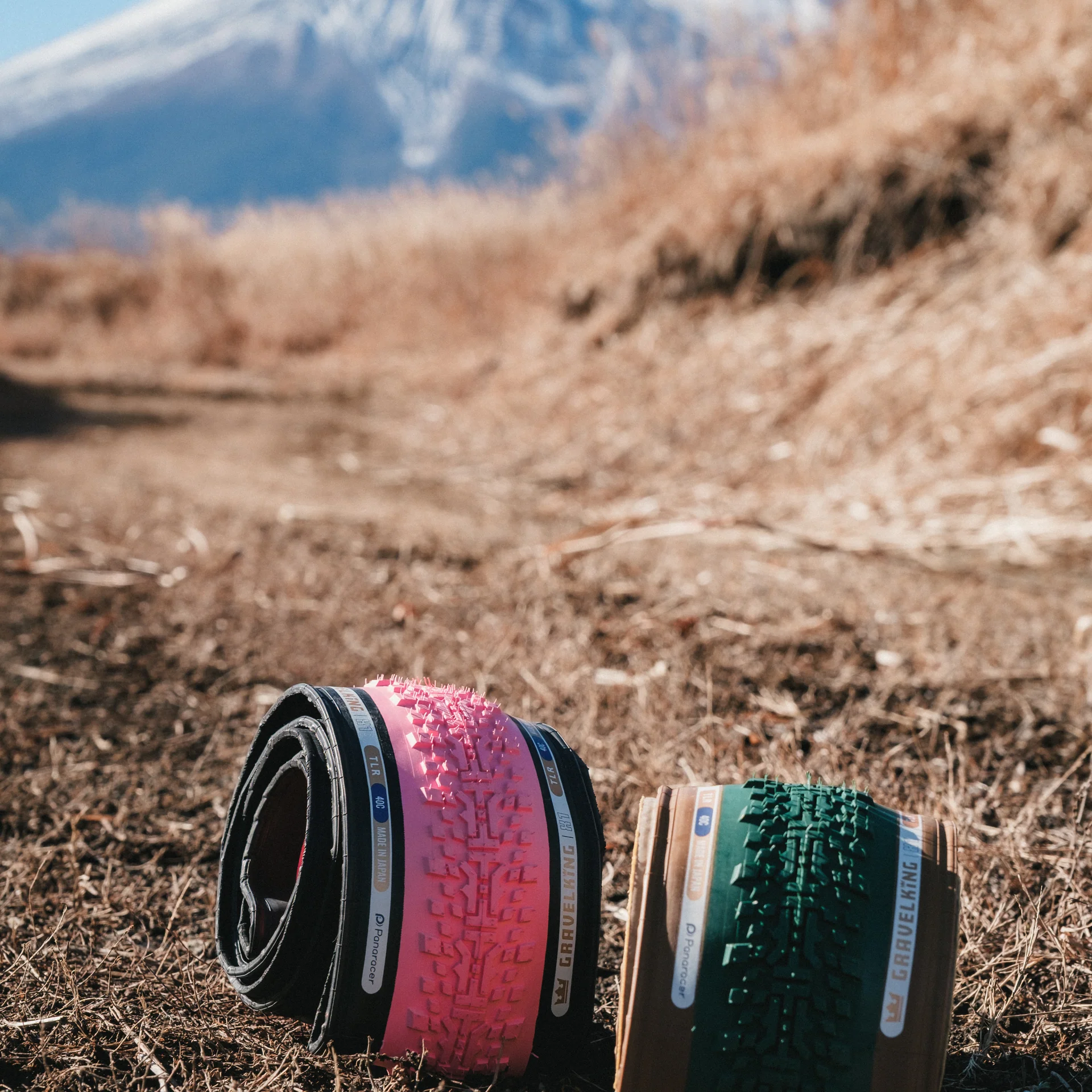 PANARACER Gravelking  X1 | Limited Edition '26