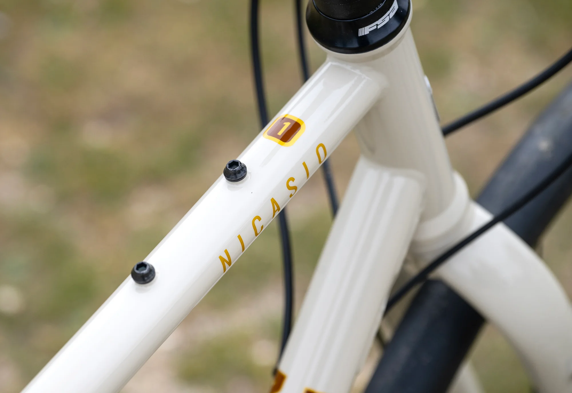MARIN Nicasio 1