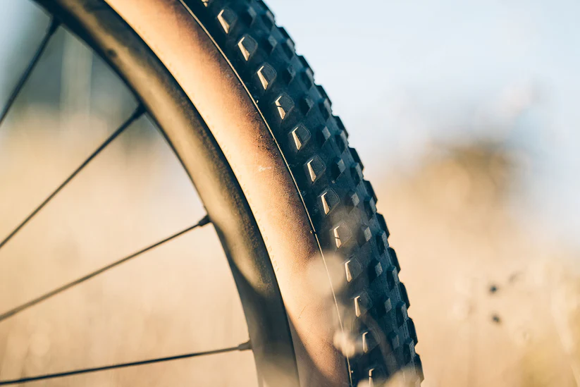 TERAVAIL Camrock Tire - Light Trail