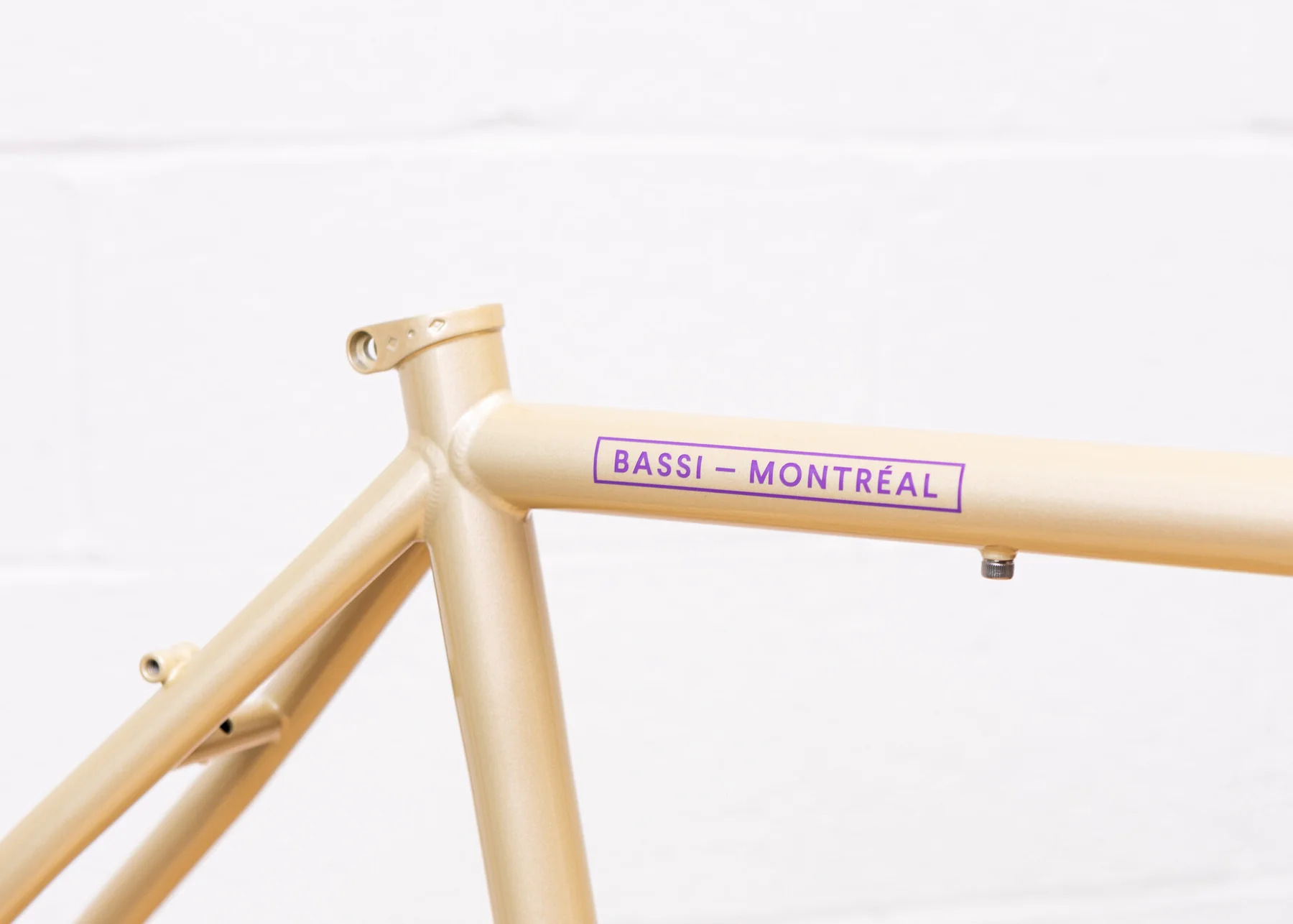 BASSI Hog's Back Frameset