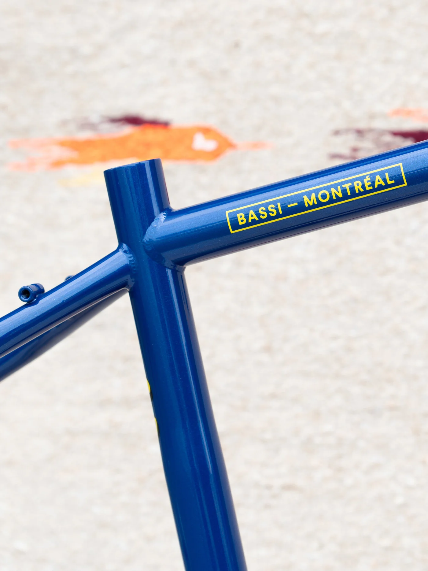 BASSI Coyote Frameset