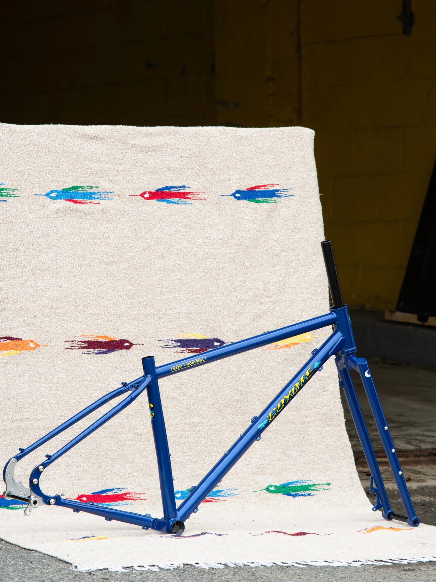 BASSI Coyote Frameset
