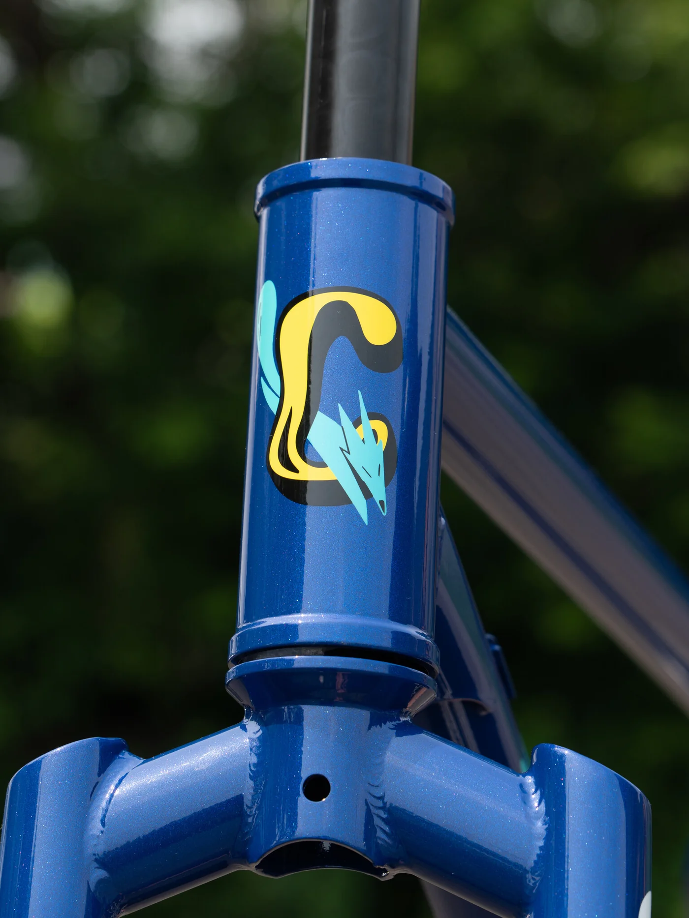 BASSI Coyote Frameset