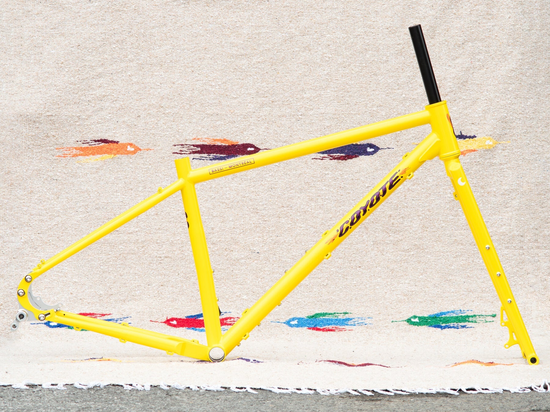 BASSI Coyote Frameset