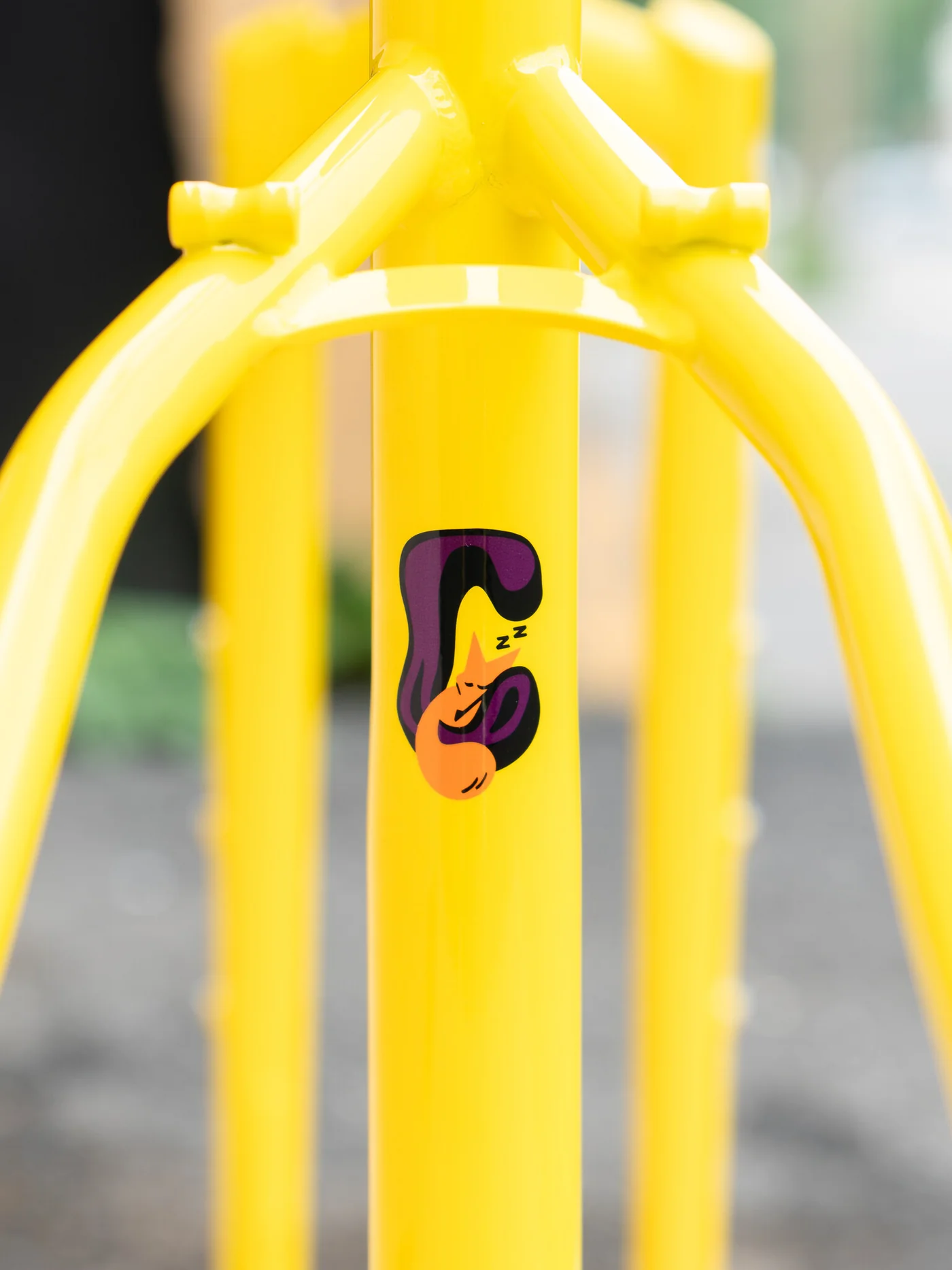 BASSI Coyote Frameset