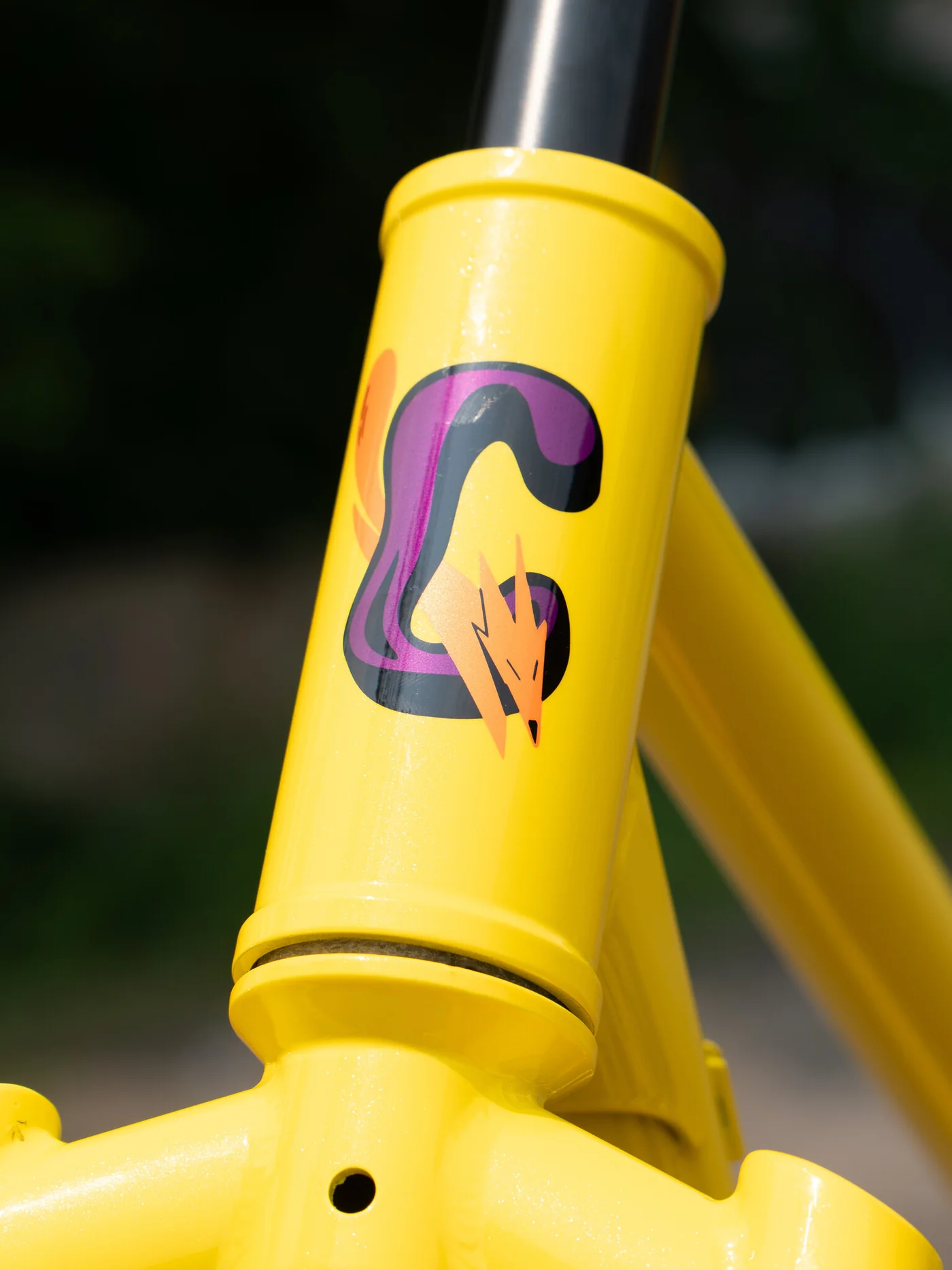 BASSI Coyote Frameset
