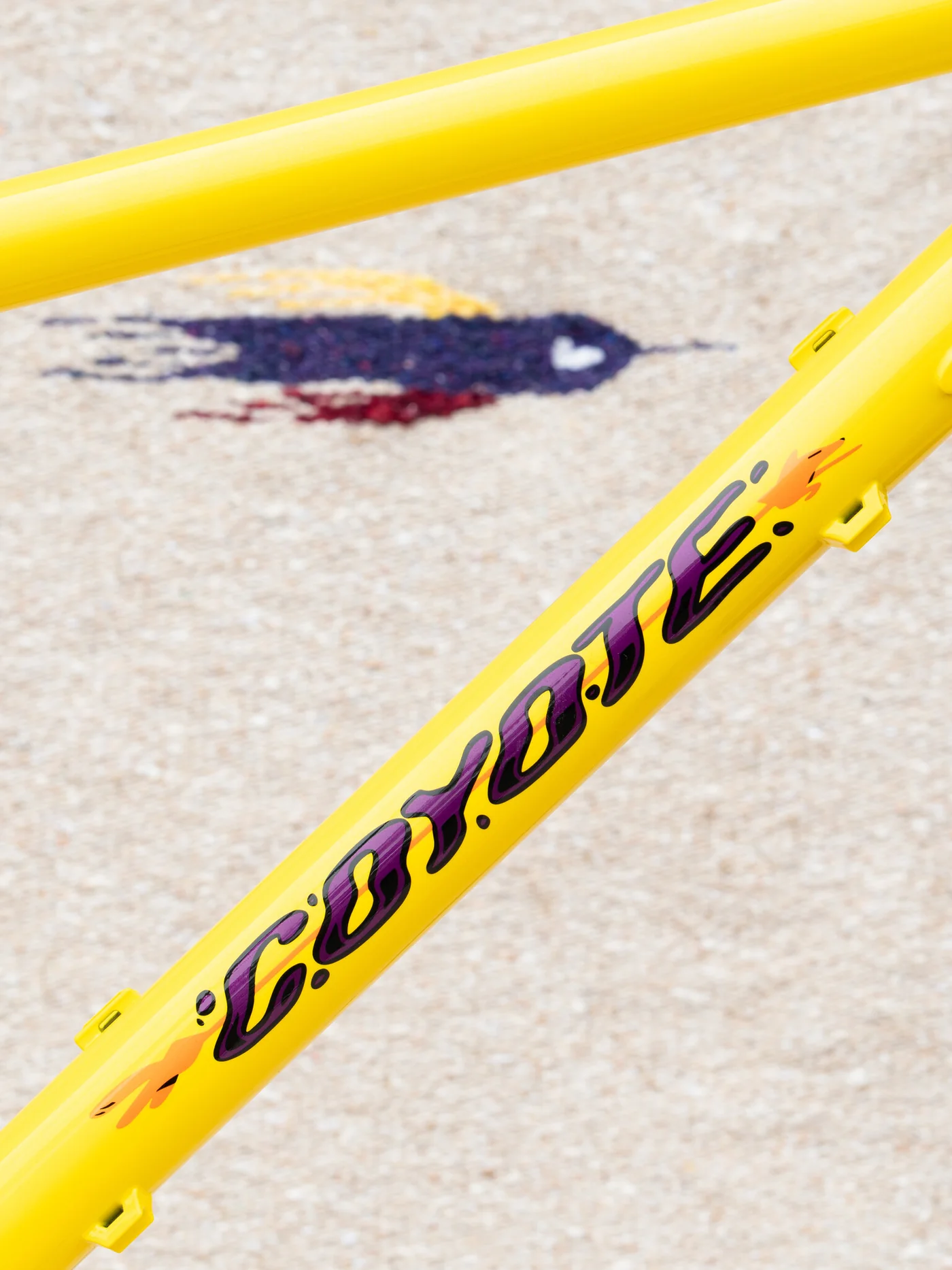 BASSI Coyote Frameset