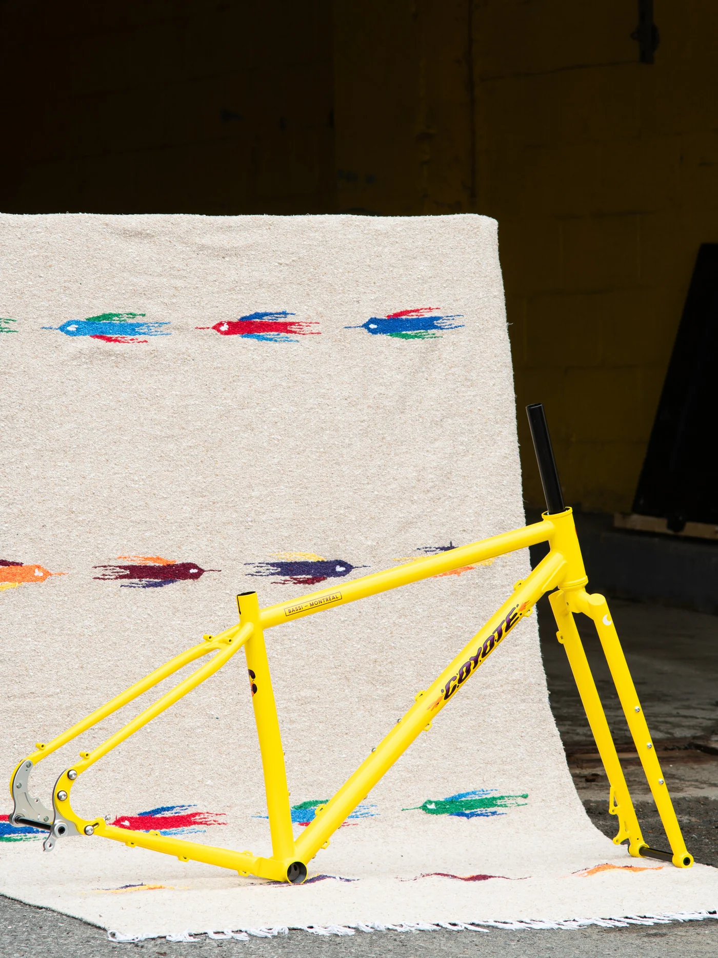 BASSI Coyote Frameset