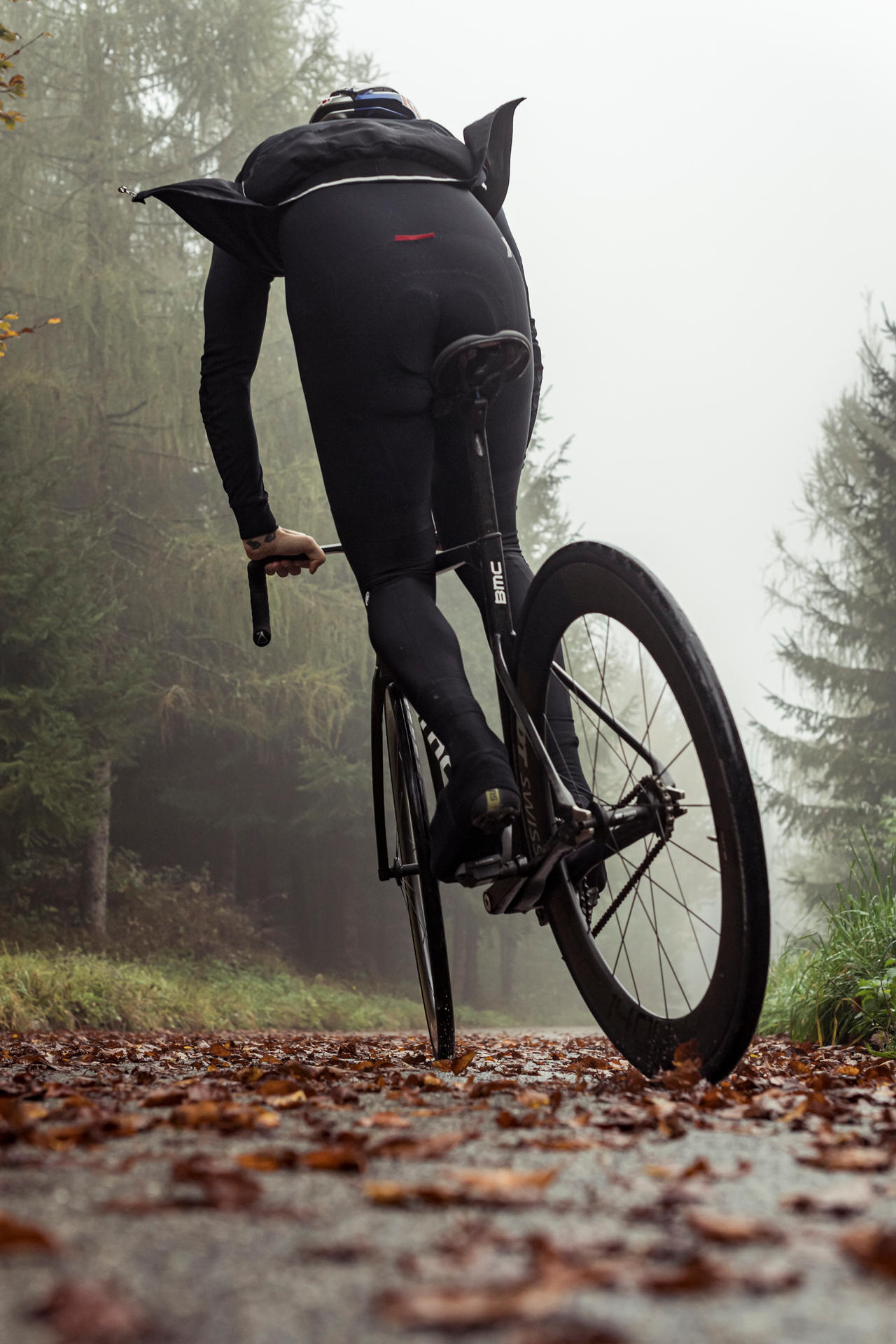 CONTINENTAL Gatorskin Tire | Folding | Black Edition