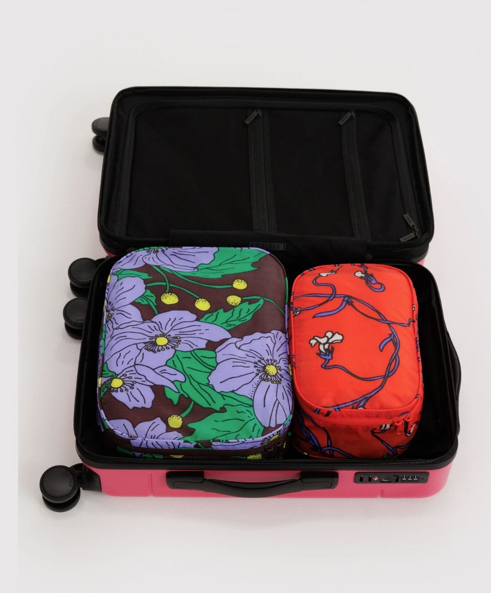 Baggu Packing Cube Set