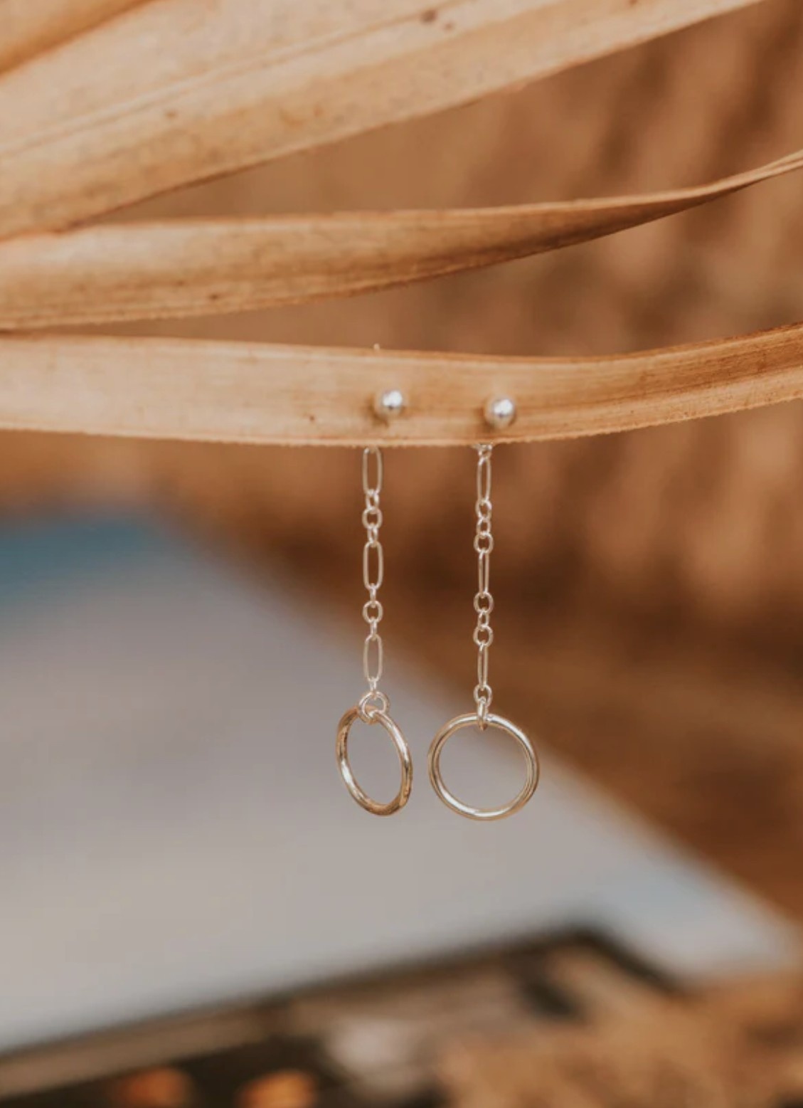 Hello Adorn Monday Backdrop