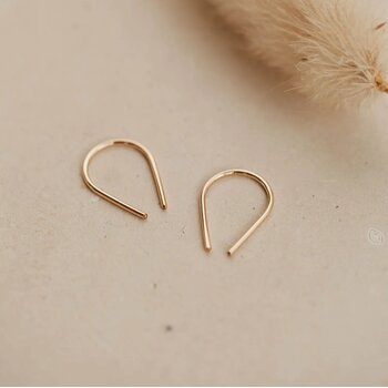 Hello Adorn Tiny Horseshoe Earrings