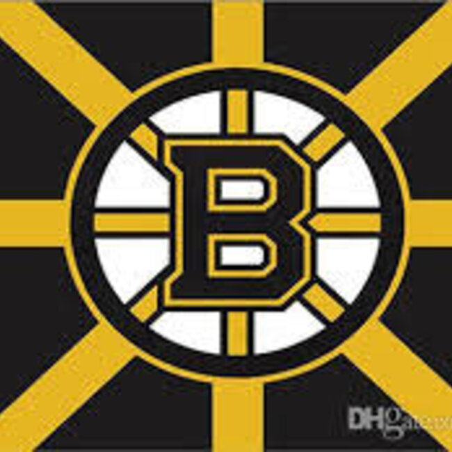 BOSTON NHL FLAG