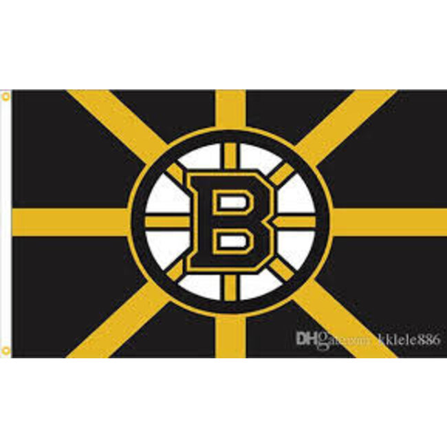 BOSTON NHL FLAG