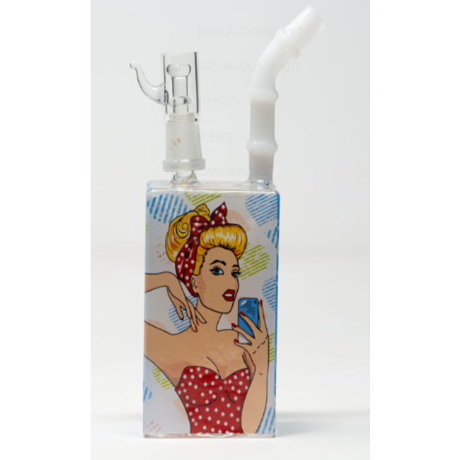 RICKY AND MORTY DAB RIG