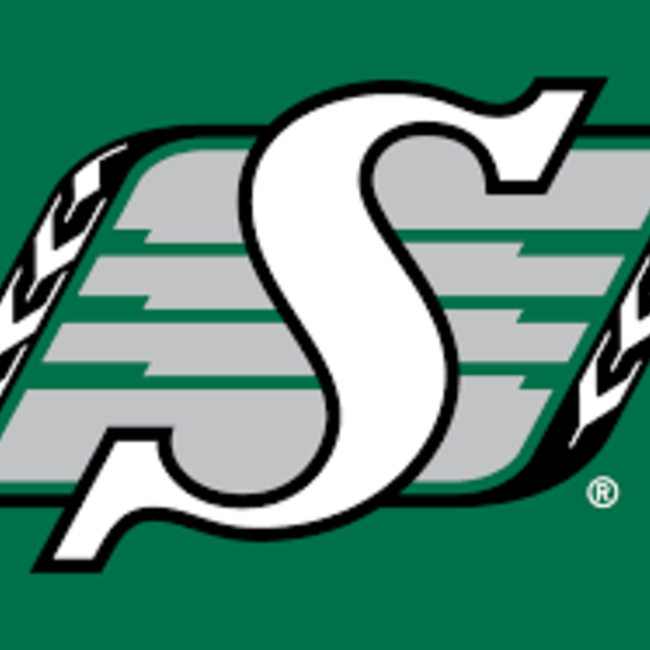 ROUGHRIDERS FLAG