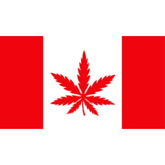 canada withe red marijuana leaf flag