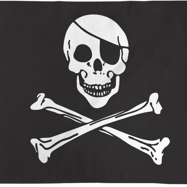 SKULL AND BONE FLAG