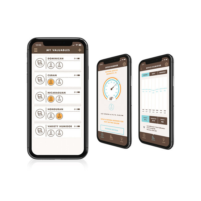 BOVEDA BOVEDA BUTLER