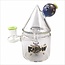 KAPOW 5.3'' HINT OF COLOR WIGWAG INCONE CONE RECYCLER C6328