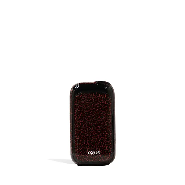 EXXUS EXXUS RIZO CCEL BATTERY&CHARGER