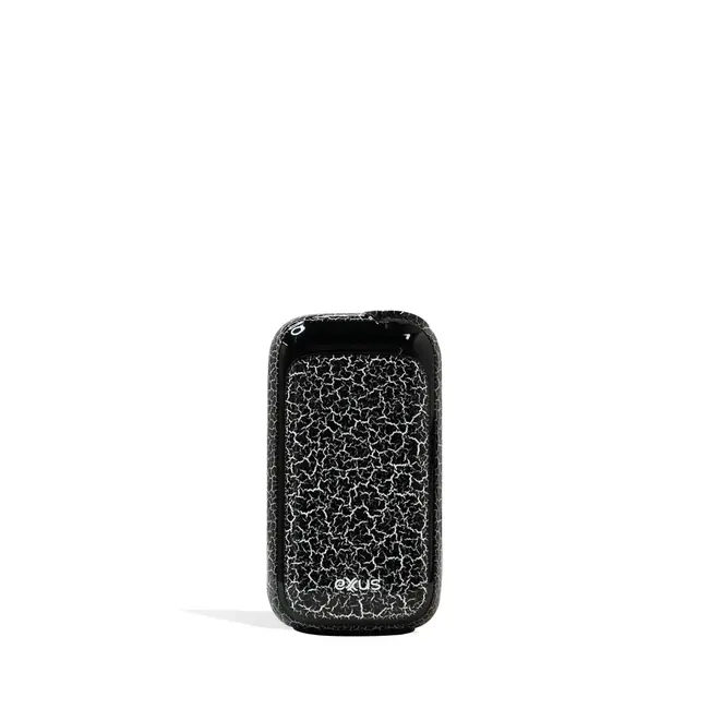 EXXUS EXXUS RIZO CCEL BATTERY&CHARGER