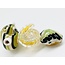 5'' RASTA  GLASS HAND PIPE