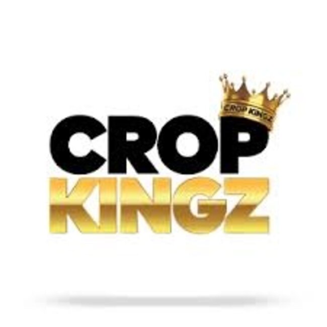 CROP KINGZ CROP KINGZ PREMIUM ORGANIC CONES  KING SIZE (2 PACK)