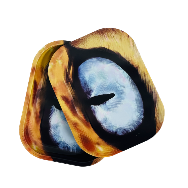 HIPSTER HIPSTER METAL TRAY WITH LID