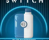 Mouthwatering masterpiece of flavour: Mr. Fog Switch Blue Raspberry Cherry Ice Disposable Vape