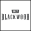 BLACKWOOD BLACKWOOD E-LIQUID SALT NIC