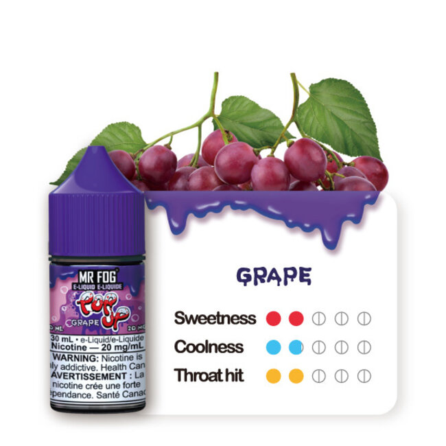MR FOG MR FOG JUICE POPUP SALT NIC