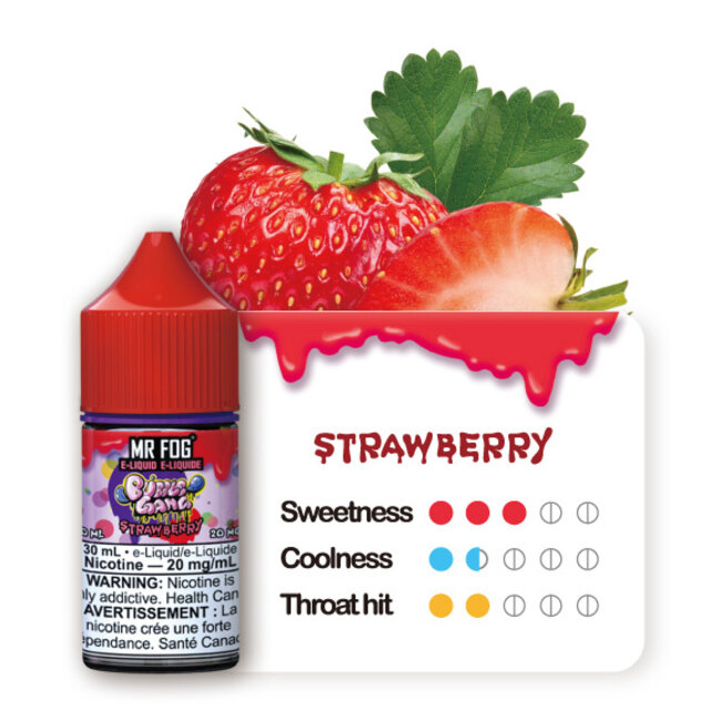 MR FOG MR FOG E-LIQUID BUBBLE GANG SALT NIC