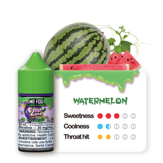 MR FOG MR FOG E-LIQUID BUBBLE GANG SALT NIC