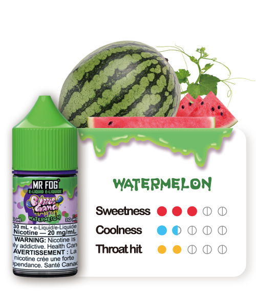 MR FOG JUICE BUBBLE GANG SALT NIC 6