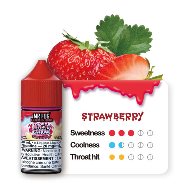 MR FOG MR FOG E-LIQUID MAGIC COTTON SALT NIC