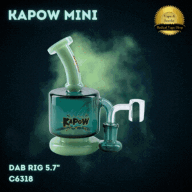 KAPOW 5.7'' TWO TONE  DAB RIG  C6318