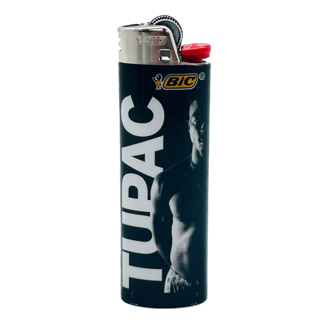 BIC BIC LIGHTER