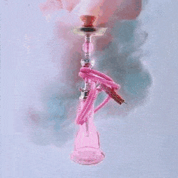 HOOKAH-SHISHA