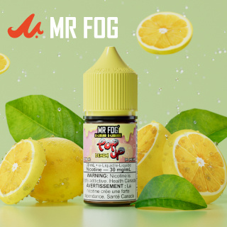 MR FOG JUICE POPUP SALT NIC 1