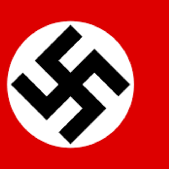 NAZI FLAG