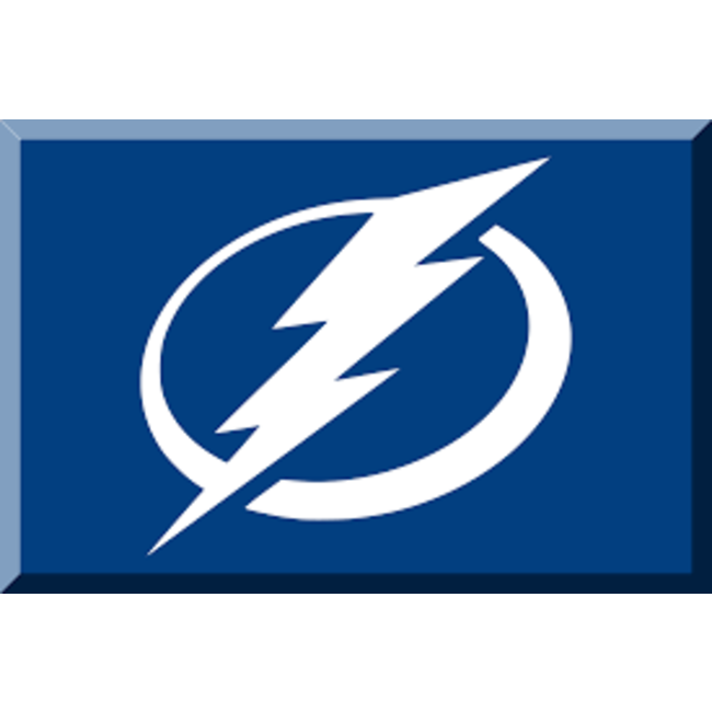 NHL TAMPA BAY FLAG