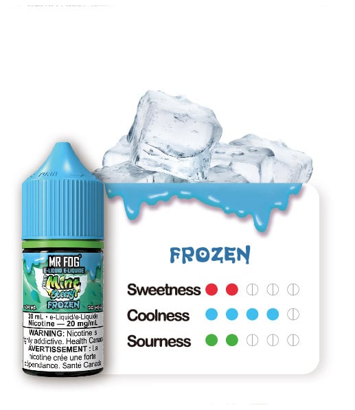 MR FOG JUICE MINT STEEZY SALT NIC 4