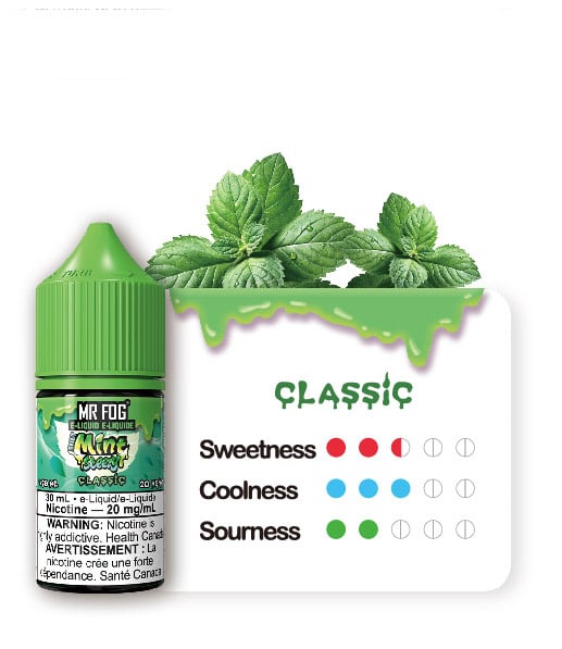 MR FOG JUICE MINT STEEZY SALT NIC 7