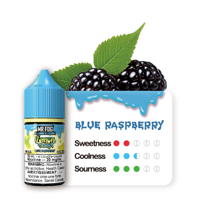 MR FOG MR FOG JUICE LEMON  STEEZY  SALT NIC